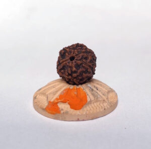 Шестиликая рудракша