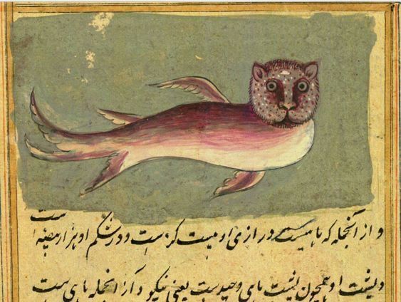 Водяной кот из бестиария Аль Казвини