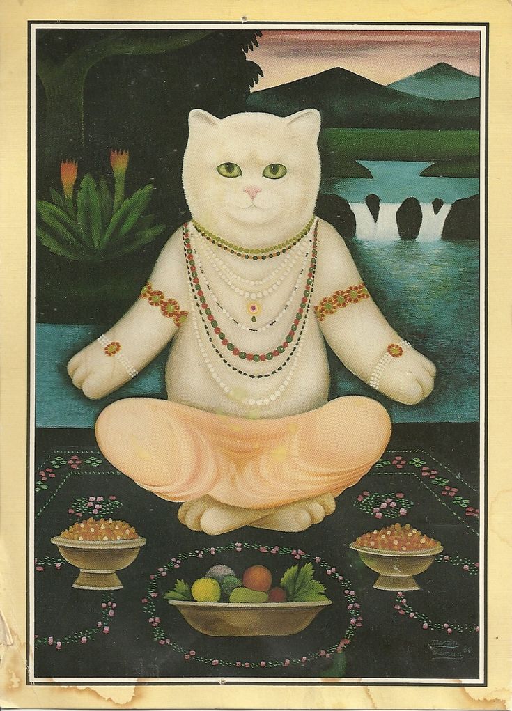 Котойогин